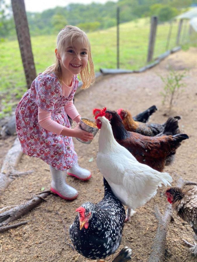 Rosecliffe Farm Cottages Pomona Ngoại thất bức ảnh